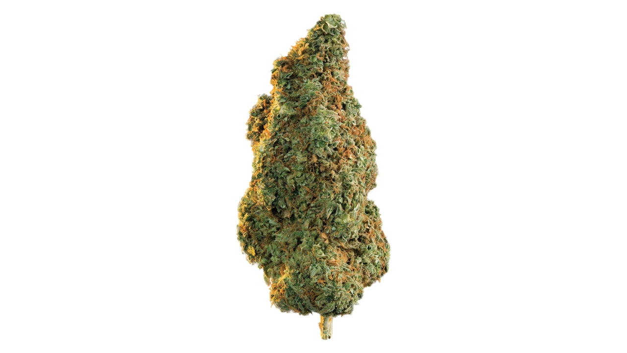 Gorilla Glue