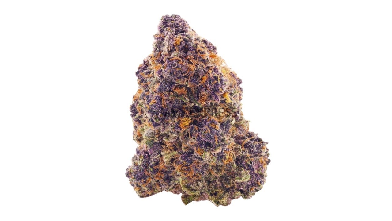 Purple Kush